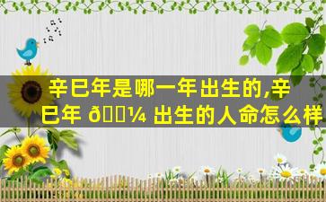 辛巳年是哪一年出生的,辛巳年 🐼 出生的人命怎么样